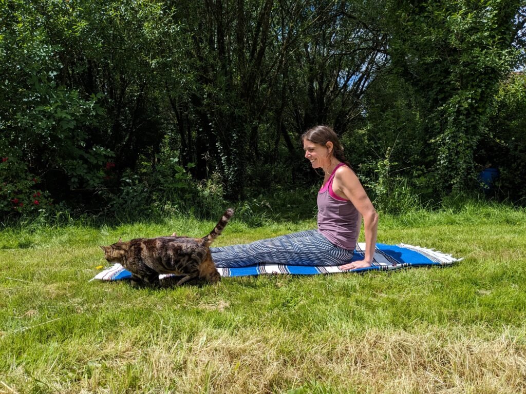 Yoga teacher in dandasana, staff pose, outdoors, practicing hatha or vinyasa yoga in the garden on a sunny day with her cat— encouraging mindfulness and calm